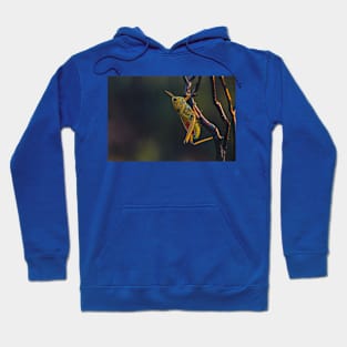 Wild life design Hoodie